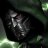 DoomsdayDigital