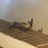 samuusex