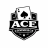 Ace Commerce