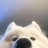 uenokeaten