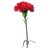 red flower