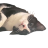 JohntheHoki