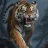 Brother Tiger