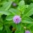 ScaleMachine