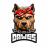 DAWGS