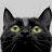 Blackcat87