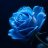 Touseef SEO