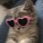 catsfate
