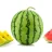 watermeloncrusher