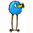 jumbuck