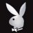 betster77