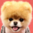 websoftinc