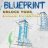 BlueprintRocks