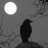 NightKrow