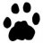 catman08