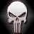 the_punisher