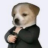 chrisrefan