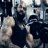 theswolenerd
