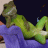 SmexyLizard