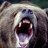 bearsh