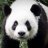 lovemepanda