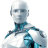 redfoxnets