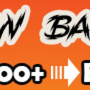 Evolutionary PBN Backlinks 30% Off - Banner.jpg