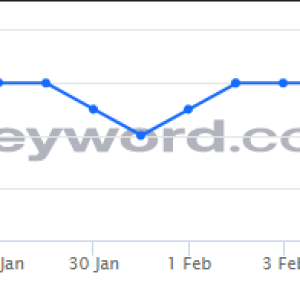 Sanmedia - Review.png