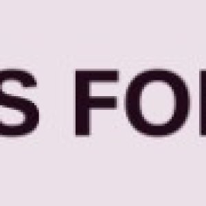 T-RANKS_028.jpg
