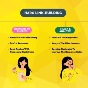 HARO Link Building Service.jpg