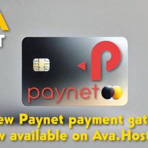 paynet.jpeg