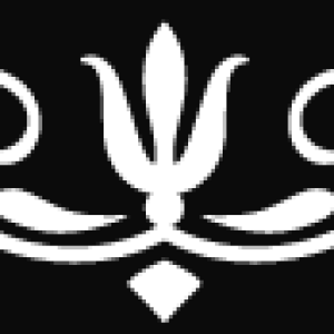 Seperator-Top.png