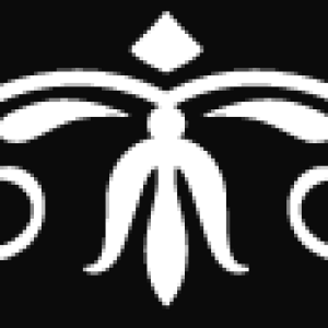 Seperator-Top-inverted.png