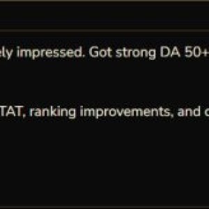 Cybertize seo.JPG