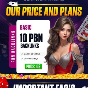 10 High-Quality DA 50+ PBN Backlinks-01.jpg