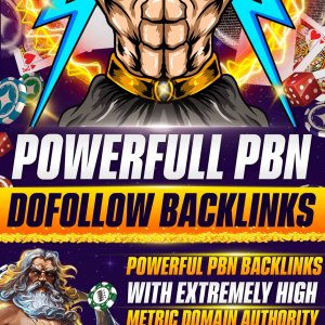 PBN BACKLINK