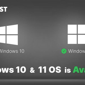 windows1011.jpeg