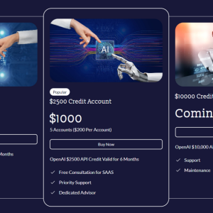 OPenAI Credit Bank