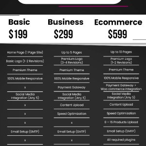 RankingRaptors - Affordable and professional quality web design services