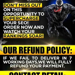 Seo Mix backlinks 3.jpg