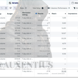 Auxentius FB ads account rental service