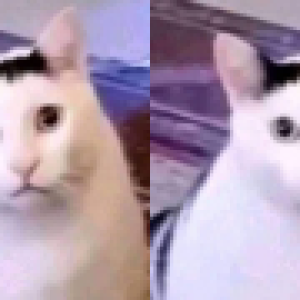 HUHUHUHUHHUHUH.png