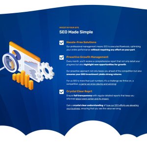 Monthly SEO - Fully managed_09.jpg