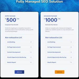 Monthly SEO - Fully managed_11.jpg
