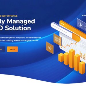 Monthly SEO - Fully managed_01.jpg