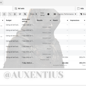 Auxentius FB ads account rental service
