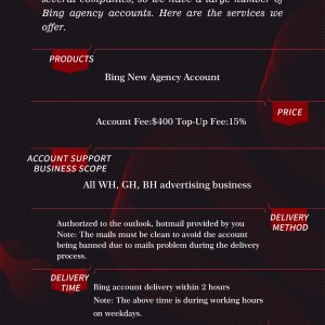 Bing 海报.jpg