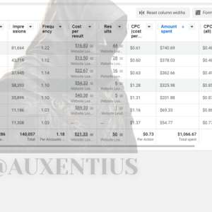Auxentius FB ads account rental service