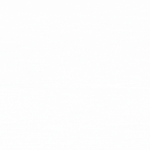 CLIENT (1).gif