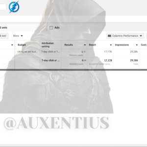 Auxentius FB ads account rental service
